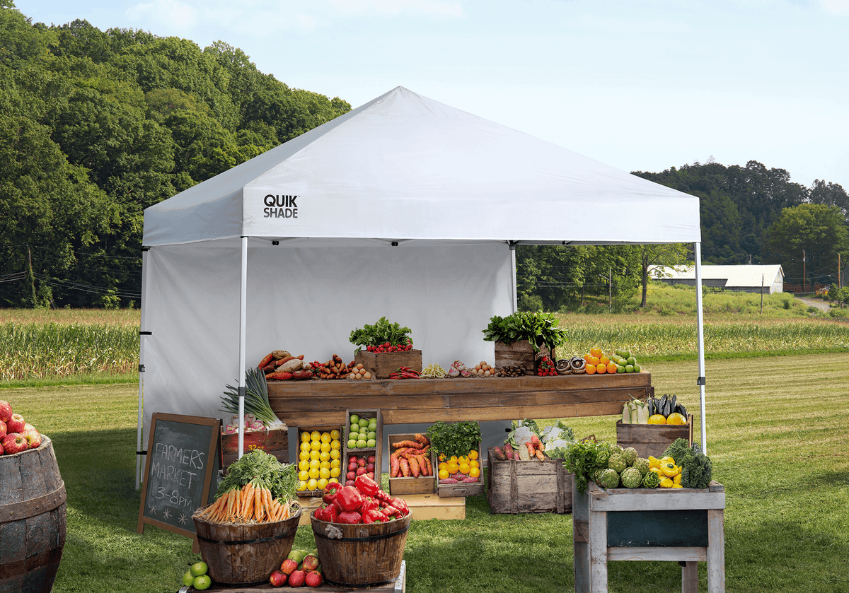 10' x 10' Instant Canopy with Wall Panel, White K6095