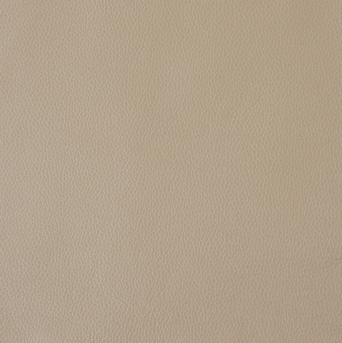 Loveseat C6106