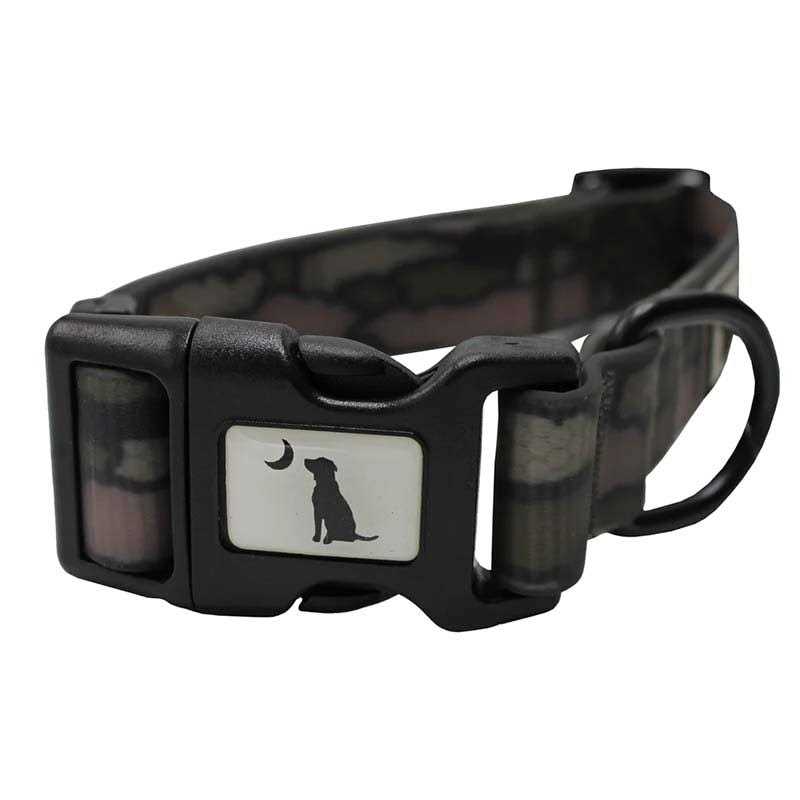 Dog Collar P1287