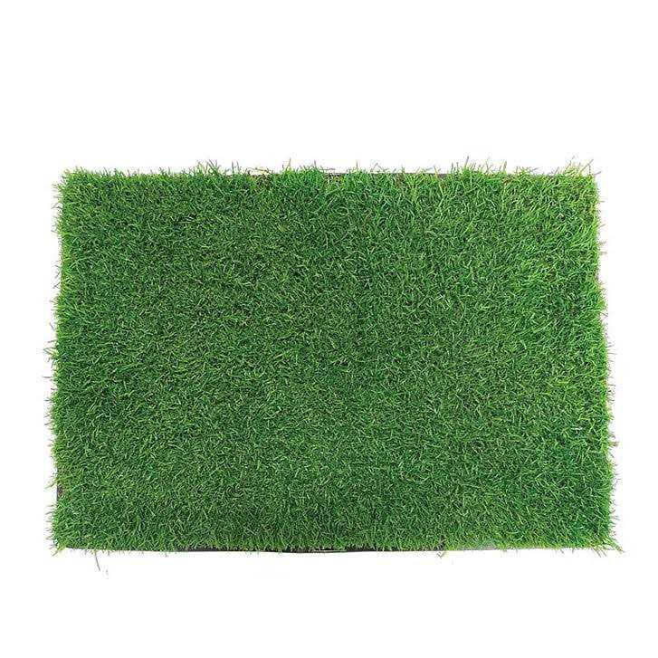 Grass with Tray Pet Supplies Q211