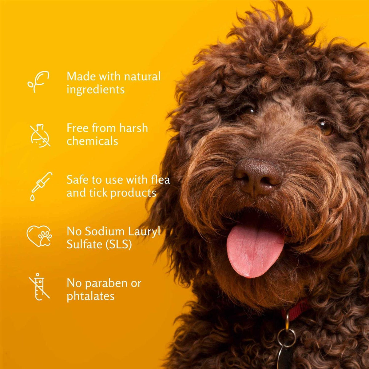 Deodorizing Spray for Dogs D19080