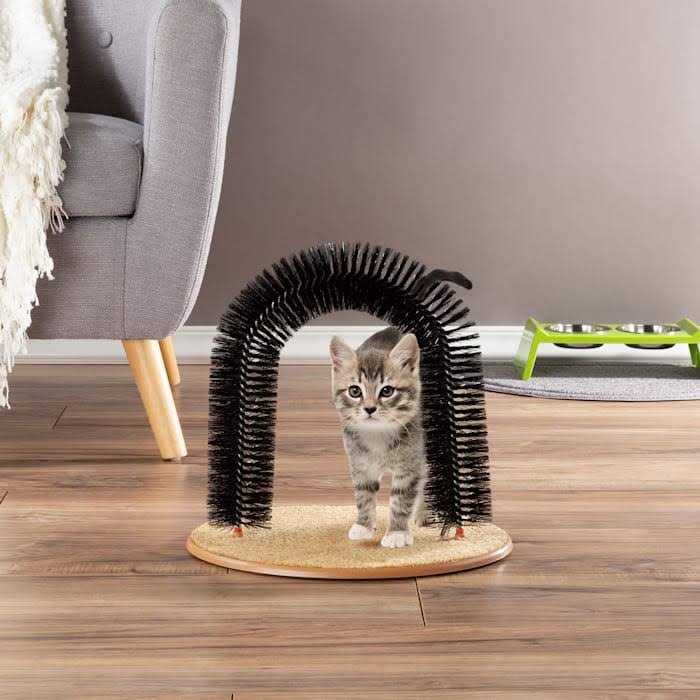 Self Grooming Cat Arch E966
