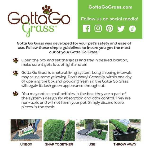 Grass with Tray Pet Supplies Q211