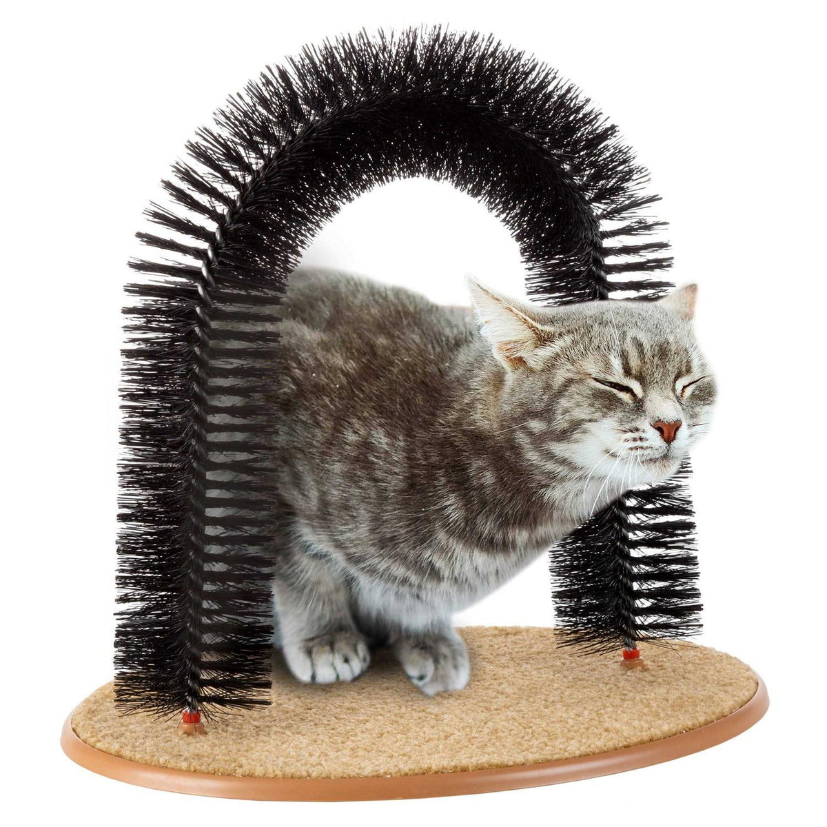 Self Grooming Cat Arch E966