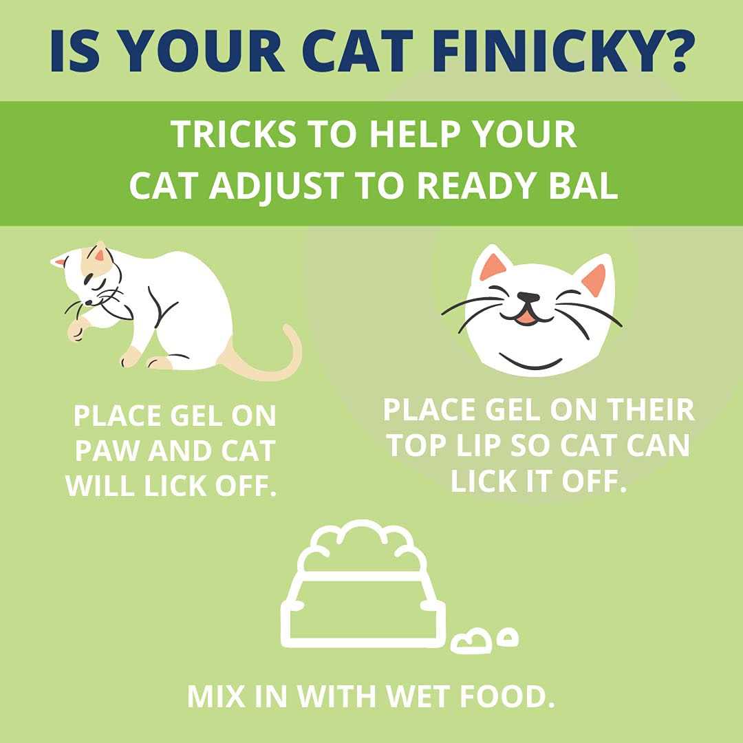 Pet Balance for Cats P80235